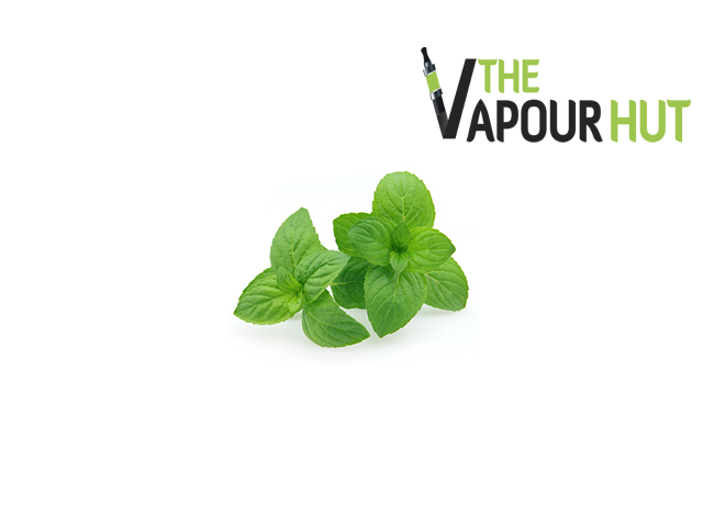 Mint - Nictel 10ml E liquid