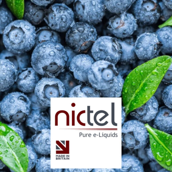 Blue Menthol - Nictel 10ml E-liquid